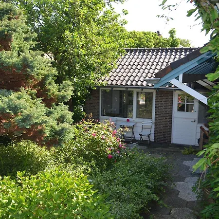 Cozy Schoorl