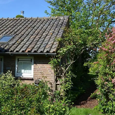 Cozy Schoorl